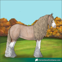 Horse Color:Red Dun Roan Splash Frame Rabicano 