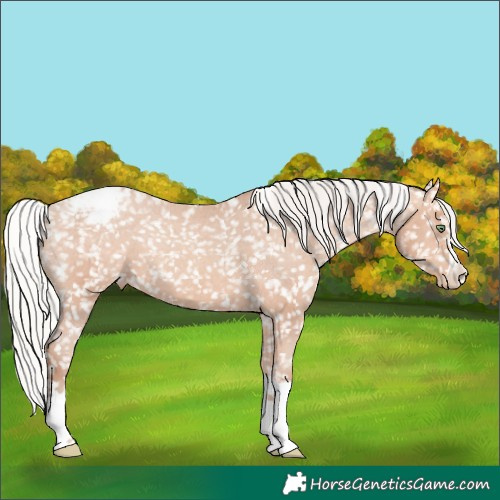 Horse Color:Silver Amber Champagne Snowcap 
