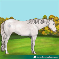 Horse Color:Platinum Chocolate Perlino 
