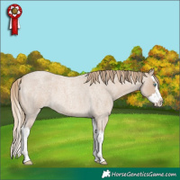 Horse Color:Smoky Creme Roan Splash 