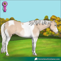 Horse Color:Silver Smoky Creme Tobiano 