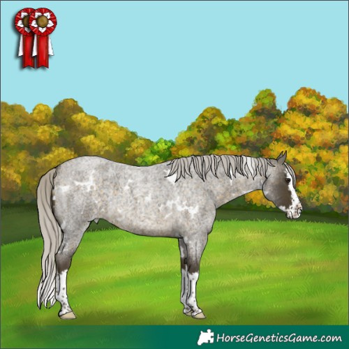 Horse Color:White Spotted Silver Buckskin Roan Splash 