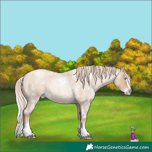 Horse Color:White Spotted Chocolate Palomino Roan Pearl Dun Splash 