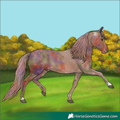 Horse Color:Nacre Chestnut 