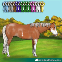 Horse Color:Silver Bay Sabino