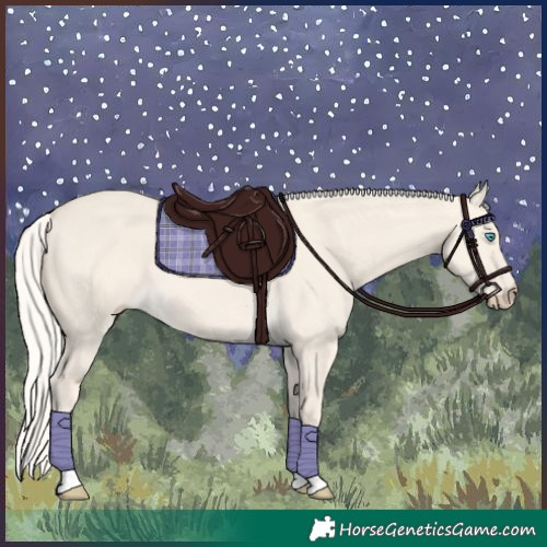 Horse Color:Cremello Dun Tobiano