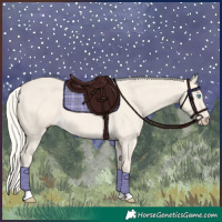 Horse Color:Cremello Dun Tobiano 