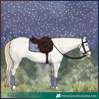 Horse Color:Perlino Dun Tobiano