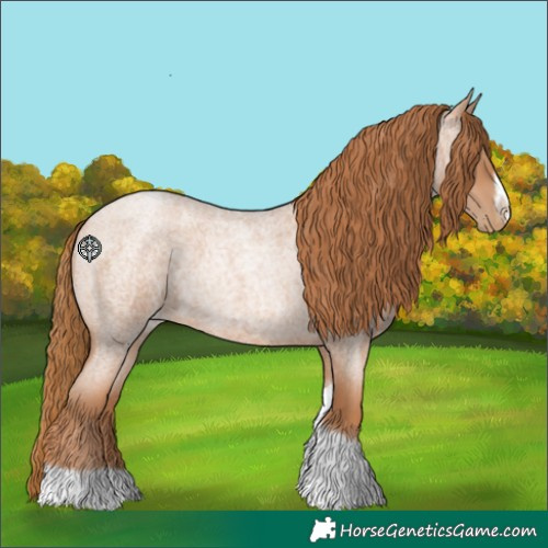 Horse Color:Red Roan Pearl Tobiano Frame
