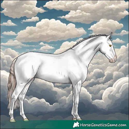 Horse Color:Amber Champagne Sabino Tobiano Appaloosa 