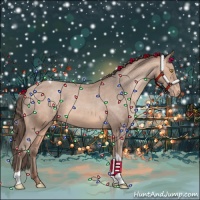 Horse Color:Amber Champagne Sabino Tobiano Appaloosa 