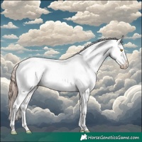 Horse Color:Amber Champagne Sabino Tobiano Appaloosa 