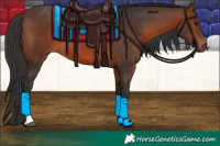 Horse Color:Brown Tobiano 