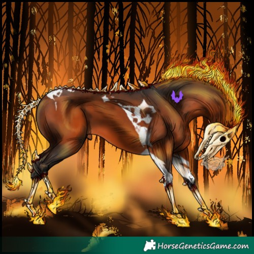 Horse Color:Bay Tobiano 