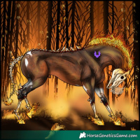 Horse Color:Brown Tobiano 