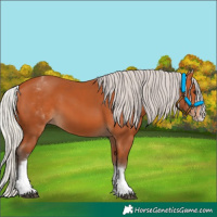 Horse Color:White Spotted Silver Bay Splash 