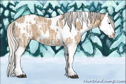 Horse Color:White Spotted Silver Bay Ice Dun Splash