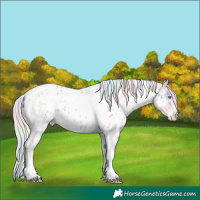 Horse Color:Platinum Nacre Chestnut Snowdrop Pearl Tobiano Near Leopard 