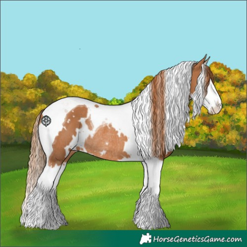 Horse Color:White Spotted Chestnut Splash Tobiano Rabicano 