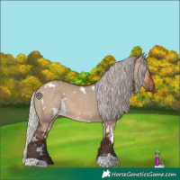 Horse Color:White Spotted Silver Brown Dun Rabicano 