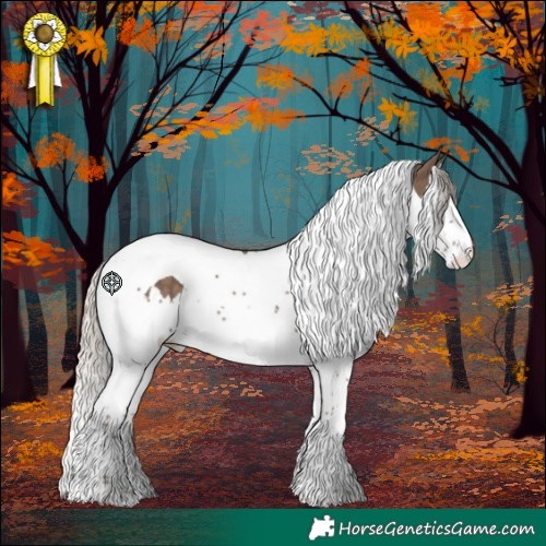 Horse Color:Silver Black Splash Tobiano Rabicano 