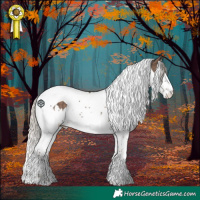 Horse Color:Silver Black Splash Tobiano Rabicano 