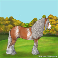 Horse Color:White Spotted Silver Bay Splash 