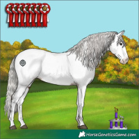 Horse Color:Silver Brown Near Fewspot 