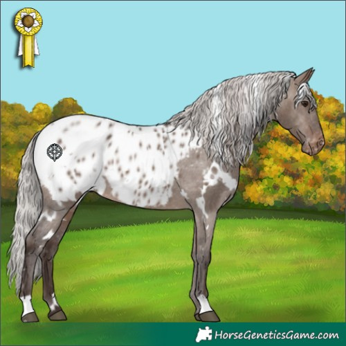 Horse Color:White Spotted Silver Brown Dun Blanket 