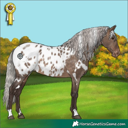 Horse Color:White Spotted Silver Brown Dun Appaloosa 
