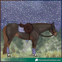 Horse Color:Liver Chestnut Rabicano 