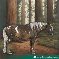 Horse Color:White Spotted Silver Buckskin Rabicano 