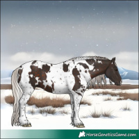 Horse Color:White Spotted Silver Brown Tobiano