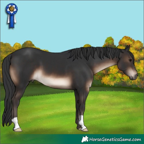 Horse Color:Brown 