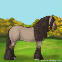 Horse Color:Liver Red Dun