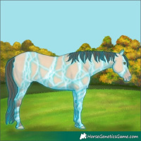 Horse Color:Thunderstruck Amber Champagne Dun 
