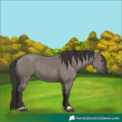 Horse Color:Smoky Grullo 