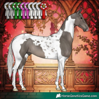 Horse Color:Silver Black Tobiano