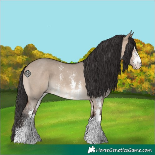 Horse Color:Brown Dun Sabino 