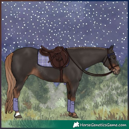 Horse Color:Liver Chestnut Rabicano 