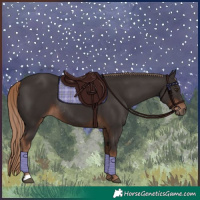 Horse Color:Liver Chestnut Rabicano