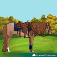 Horse Color:Brown Pearl 