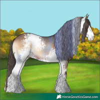 Horse Color:White Spotted Brown Onyx Varnish 