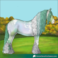 Horse Color:Watercolor Bay Onyx Tobiano Appaloosa 