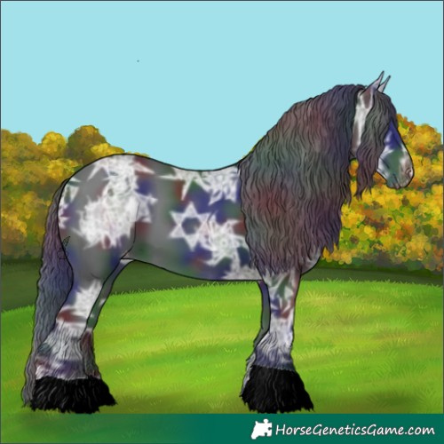 Horse Color:Nacre Black Ice Appaloosa 