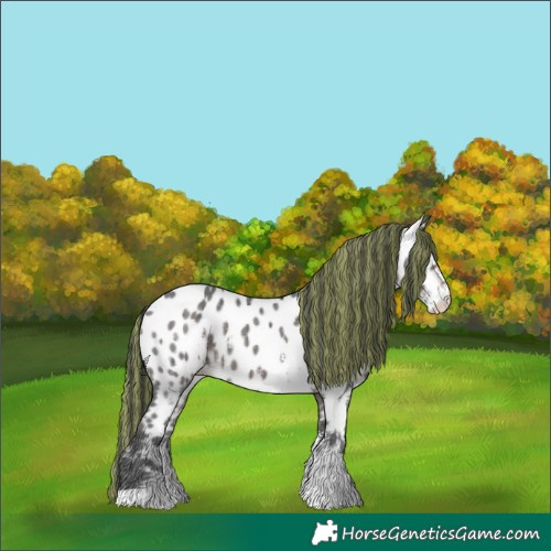 Horse Color:Painted Brown Ice Sabino Near Leopard 