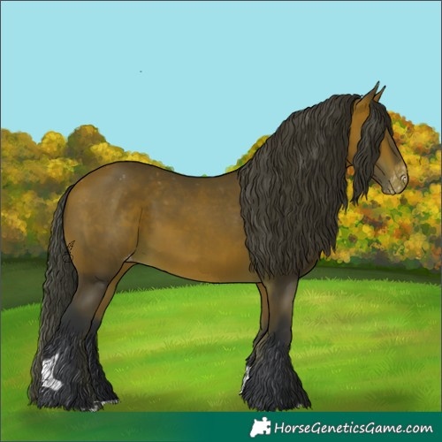 Horse Color:Bay Tobiano Appaloosa Rabicano 