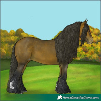 Horse Color:Bay Tobiano Varnish Rabicano 