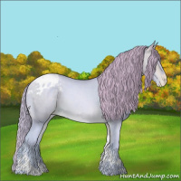 Horse Color:Watercolor Buckskin Pearl Tobiano Varnish 