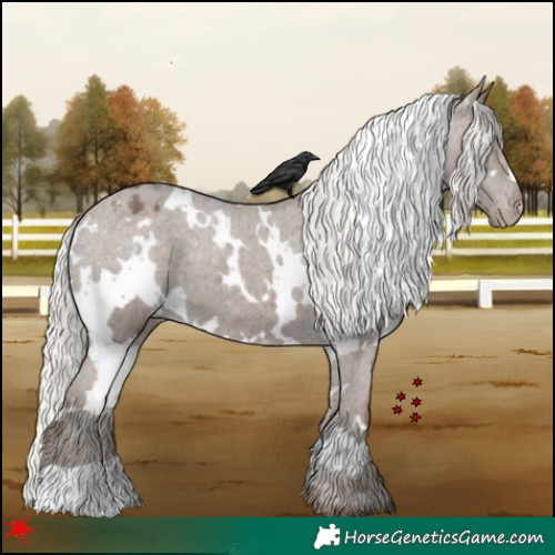 Horse Color:White Spotted Silver Black Varnish